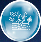 Skin-Supporting Oils